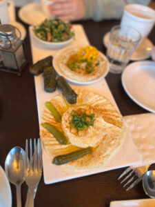 hummus, grape leaf wraps appetizer